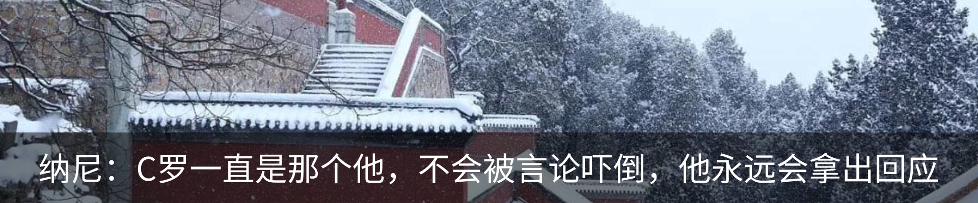 资讯动态